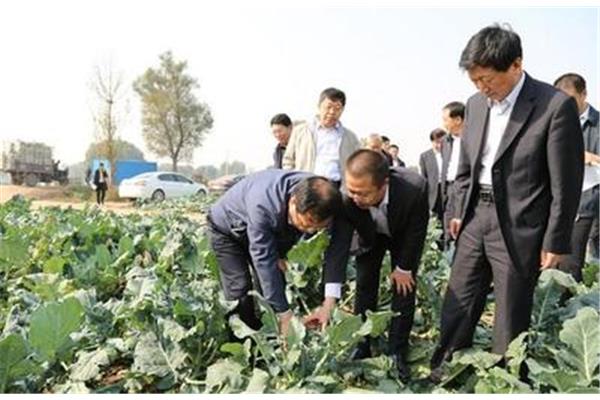 馳瑞農業機械制造有限公司是一家養豬設備制造商