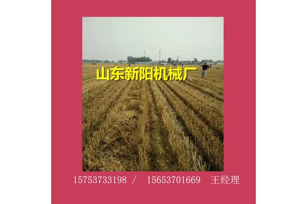 大型秸稈打捆機,什么牌子的秸稈打捆機好?